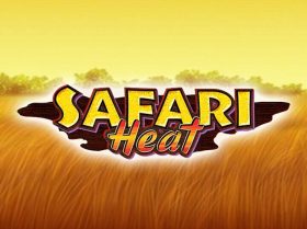 Safari Heat