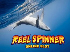 Reel Spinner