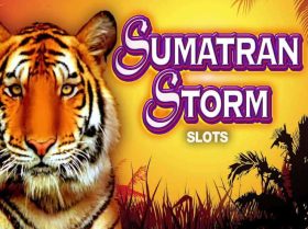 Sumatran Storm