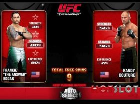 Ultimate Fighting Championship