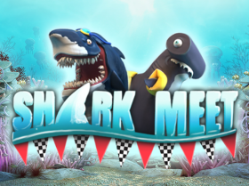 Shark Meet