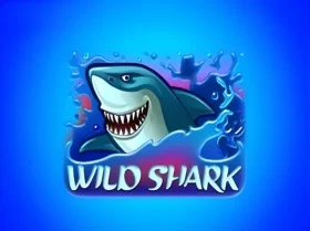 Wild Shark